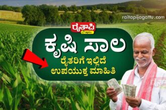 ಕೃಷಿ ಸಾಲ ಪಡೆಯಲು ರೈತರಿಗೆ ಉಪಯುಕ್ತ ಮಾಹಿತಿ ಇಲ್ಲಿದೆ… Agricultural Loan Information for Farmers