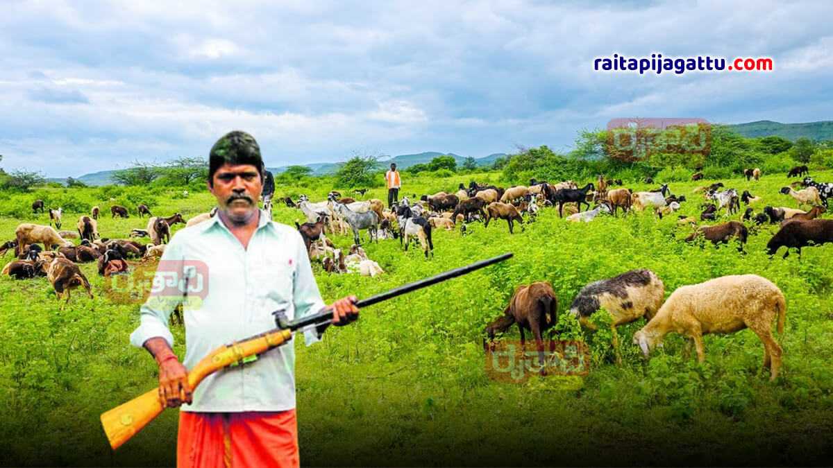 Gun training for karnataka shepherds